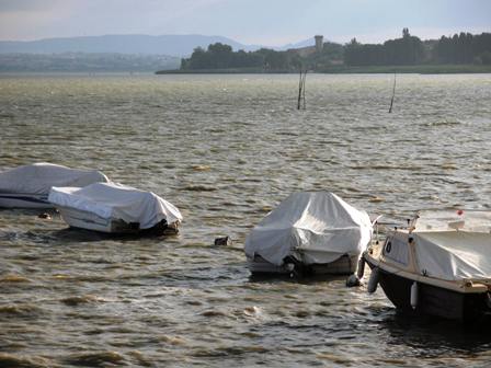 lago trasimeno_2