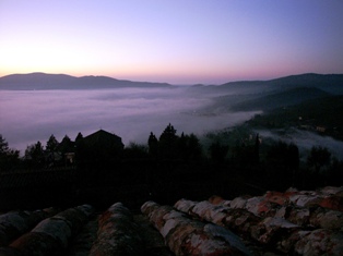 nebbia nebbia